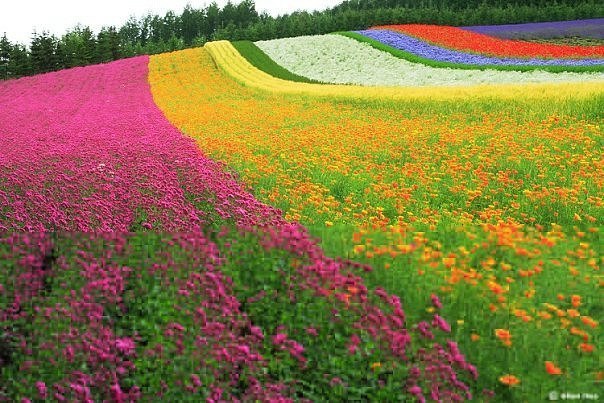 Виктория Чайка Юрьевна | Днепр (Днепропетровск)