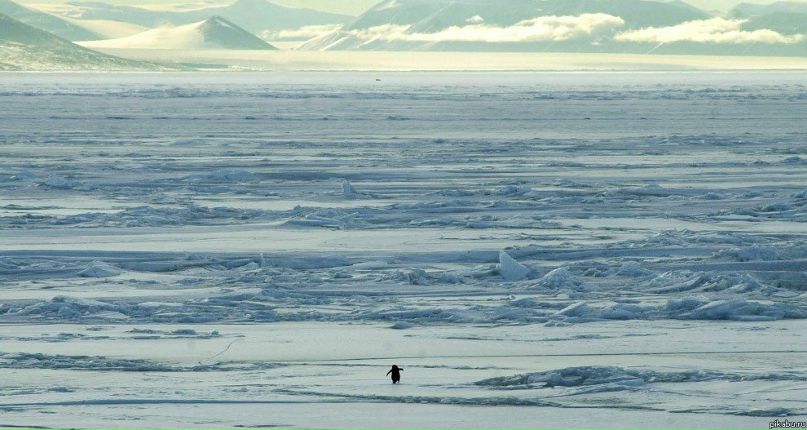 Даниил Кругляков | Белгород