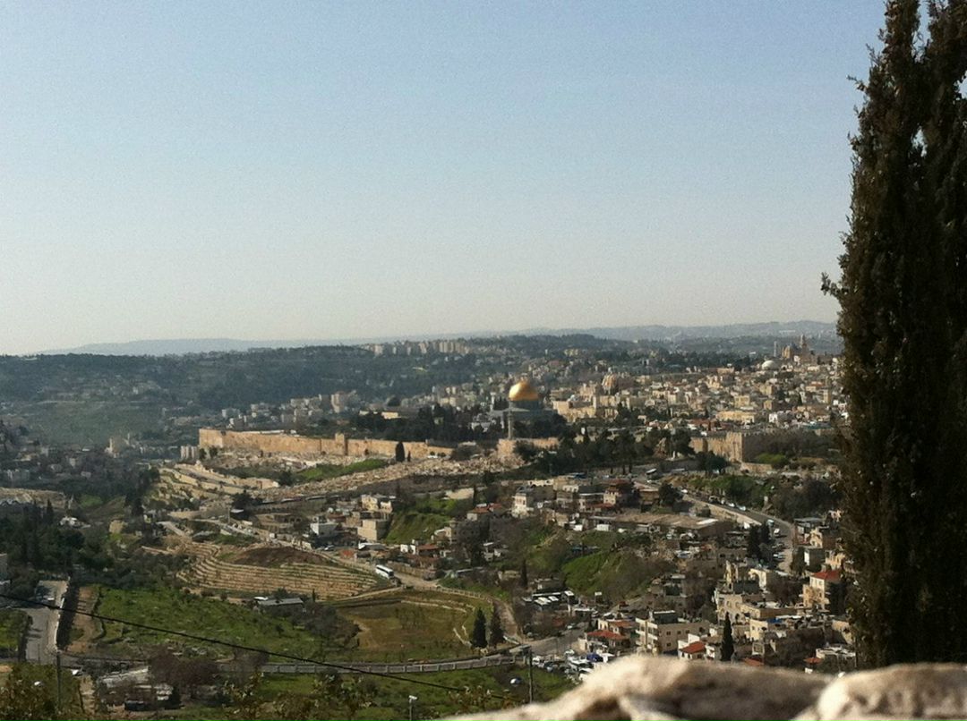 Анна Фактор | Ришон ЛеЦион