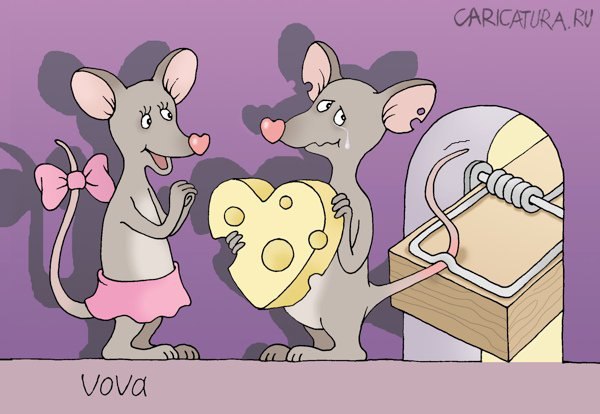 Никита Хасанов | Люберцы