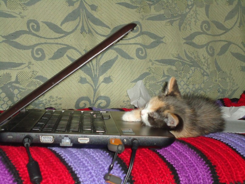 Татьяна Лескова | Томск