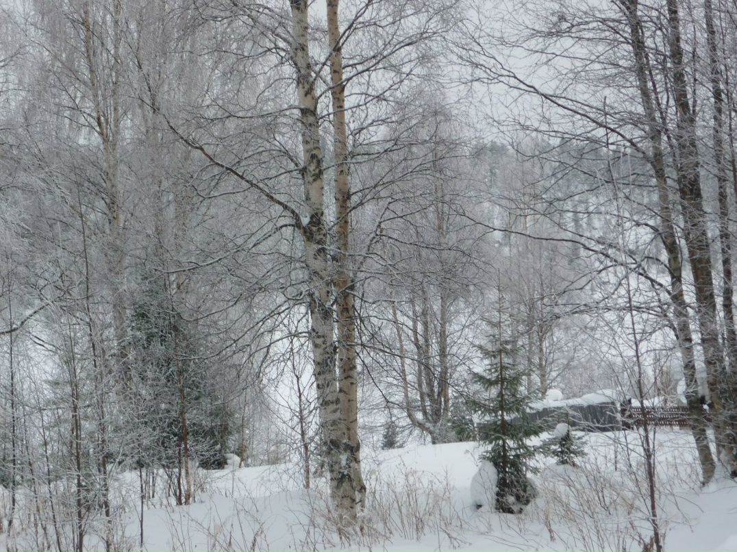 Галина Бельская | Лоухи