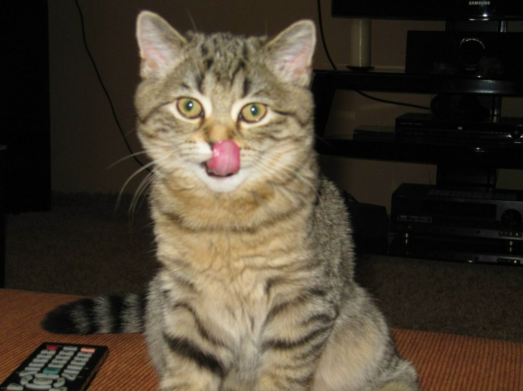 Вероника Губанова | Новокузнецк