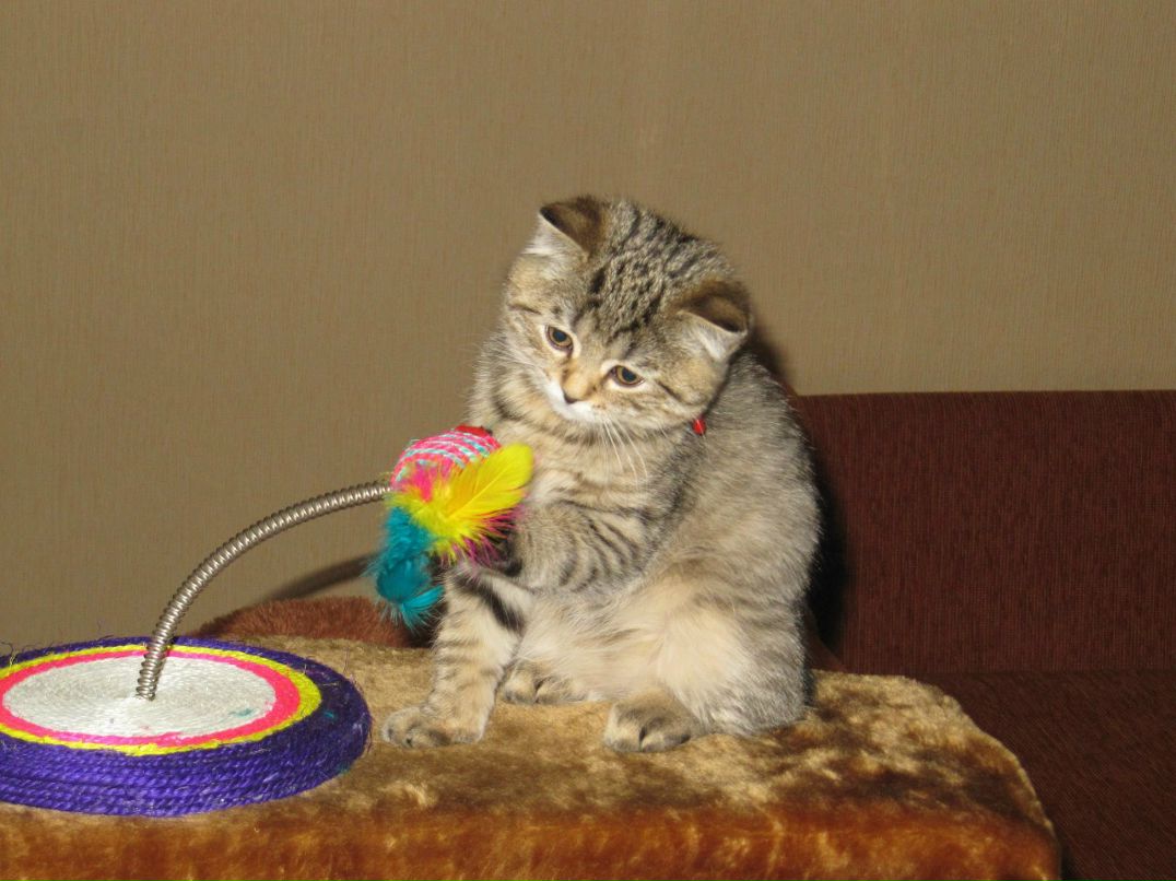 Вероника Губанова | Новокузнецк