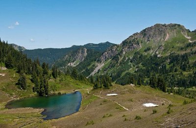 Чен Чень | Харьков