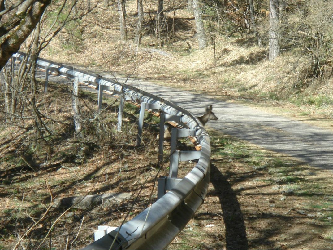 Владимир Ковдя | Ялта