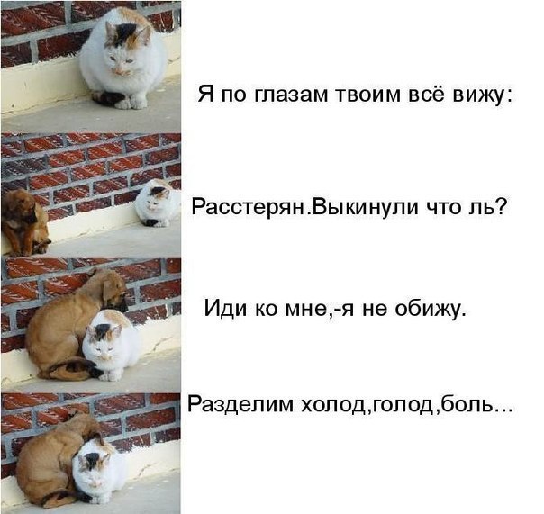 Диана Козлова Di | Травневое / Первомайск