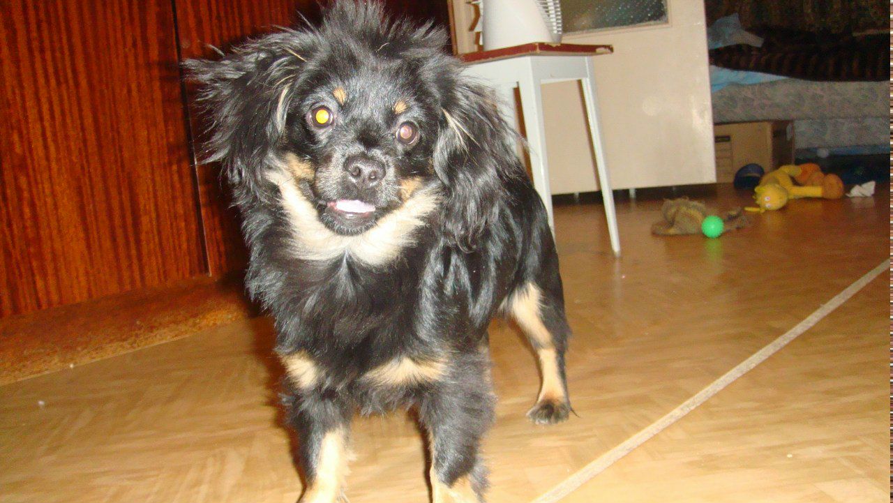 Юлия Кривцова | Саратов