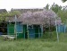 Виталий Ханенко фотография #8