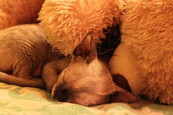 Яна Усова | Санкт-Петербург