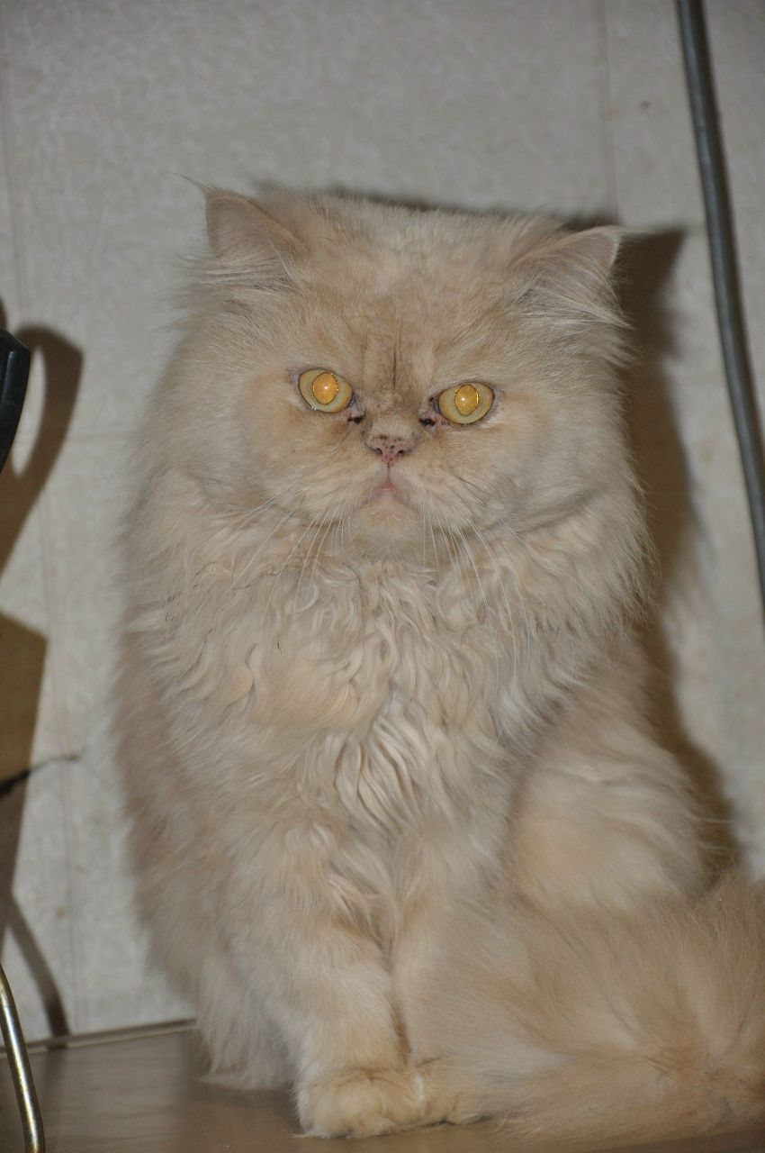 Настя Сидорук | Николаев