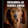 Аватар: Zad Rot