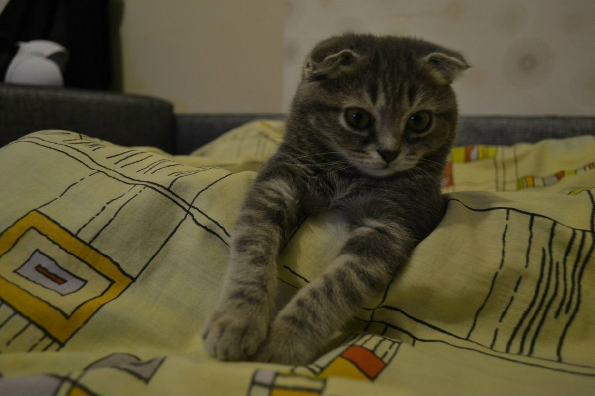 Маша Басова | Екатеринбург