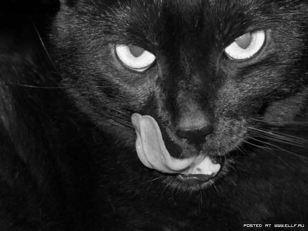 №148, Кирилл Фролов, Москва №148, Кирилл Фролов, Москва