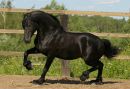№4 Ангел Жеребец : профиль, фото, статус - ВКонтакте №4 Ангел Жеребец : профиль, фото, статус - ВКонтакте