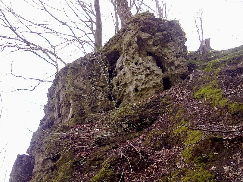 Даниил Подоляк Вадимович | Киев