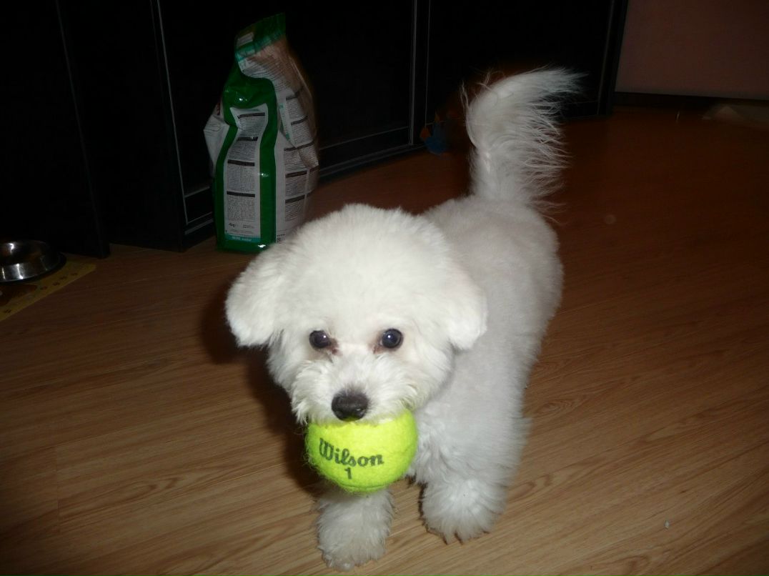 Наталья Волкова | Люберцы