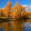 Аватар: Гулина Вахитова