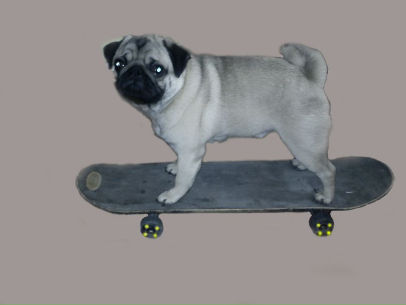 №64, Антон Щигельский, Москва №64, Антон Щигельский, Москва