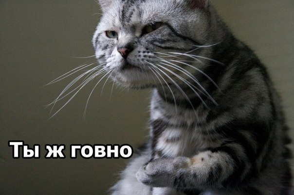 Булат Валлиулин | Казань