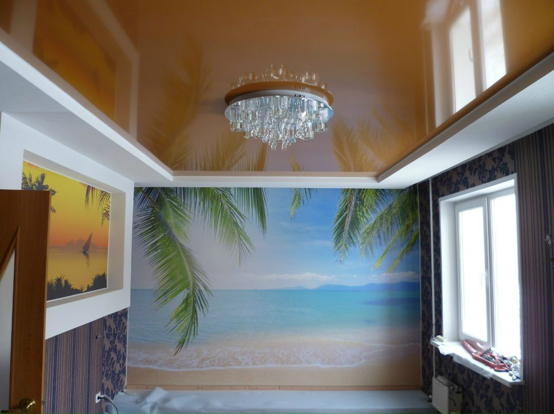 Дмитрий Садов shade | Нижний Новгород