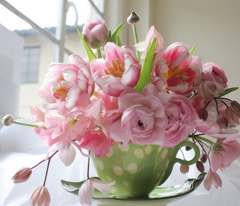 Анастасия Опенгейм | 