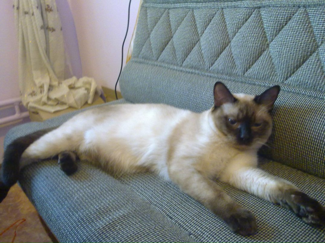 Ирина Лоян | Санкт-Петербург