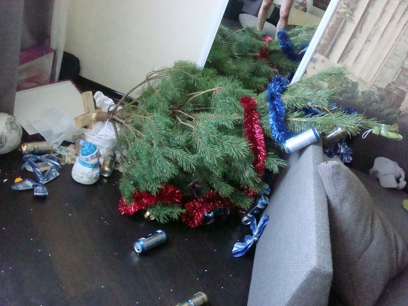 Petya Mitsurka CoolBoy | 