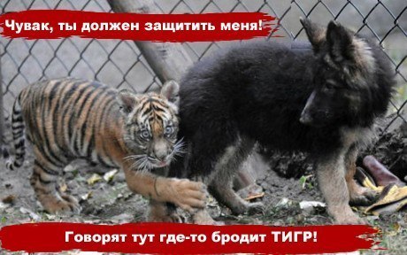 Сергій Гладун | 