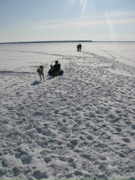 №71, Владимир Фёдоров, 60 лет, Череповец №71, Владимир Фёдоров, 60 лет, Череповец