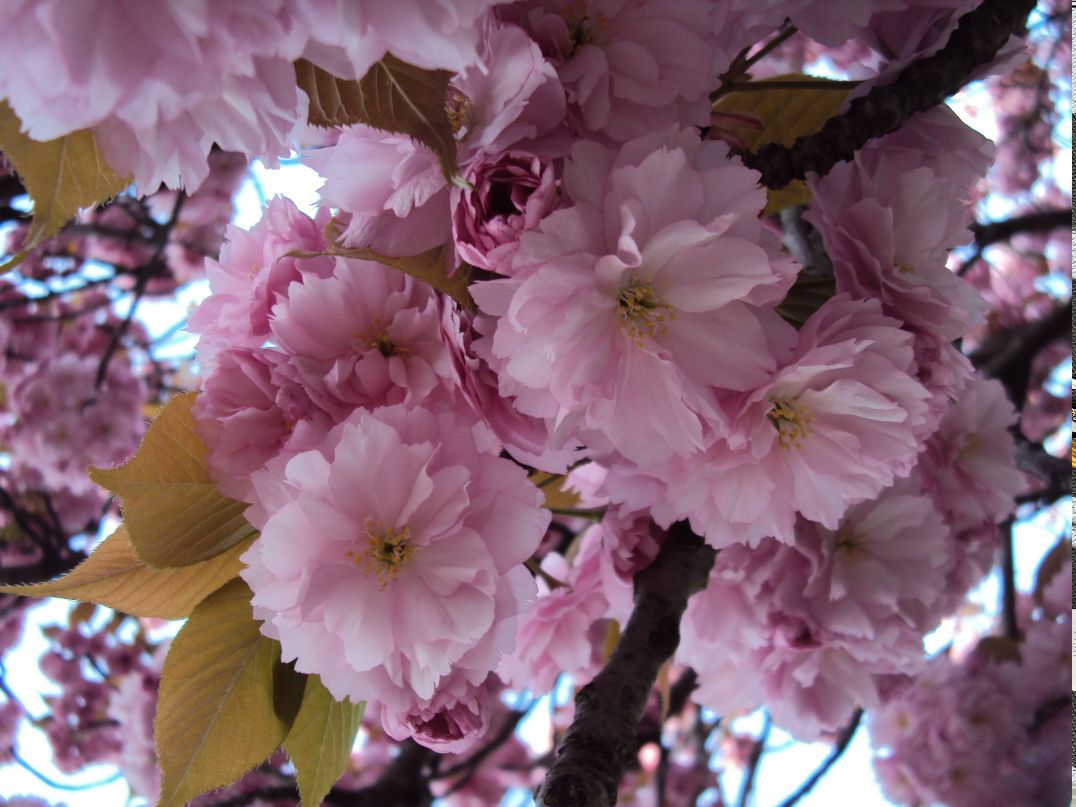 Катя Ладышкина | Санкт-Петербург