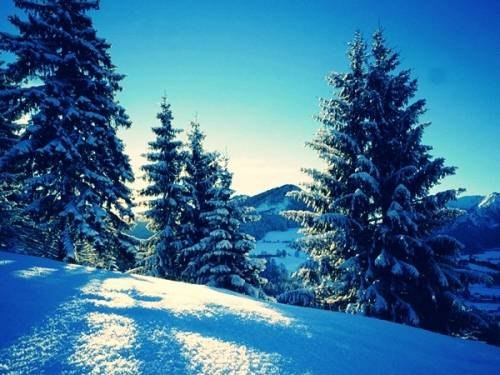 №38, Людмила Туник, Никополь №38, Людмила Туник, Никополь