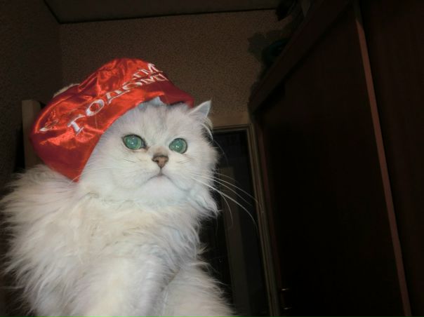 №39, Алексей Бастанжиев, 49 лет, Ростов-на-Дону №39, Алексей Бастанжиев, 49 лет, Ростов-на-Дону