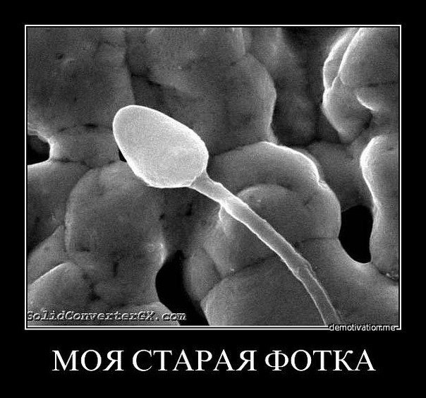 Сергей Боб | Кривой Рог