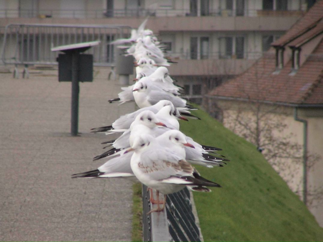 Варвара Фомина | Санкт-Петербург