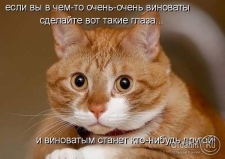 Людмила Подрез | Санкт-Петербург