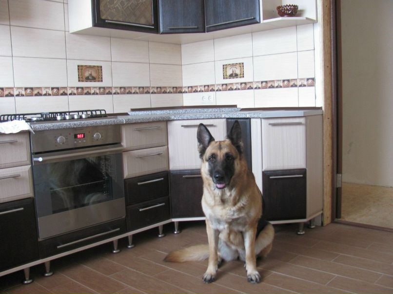 Віктор Герасименко | Белая Церковь