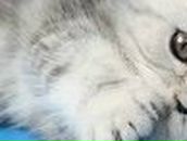 Валентина Лозаренко | Москва