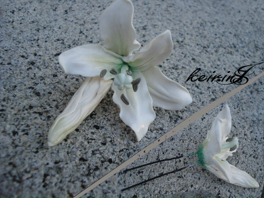 Ирина Нейдорф | 