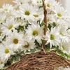 Аватар: Екатерина Ρогожина