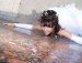 Ирина Яковлева фотография #27