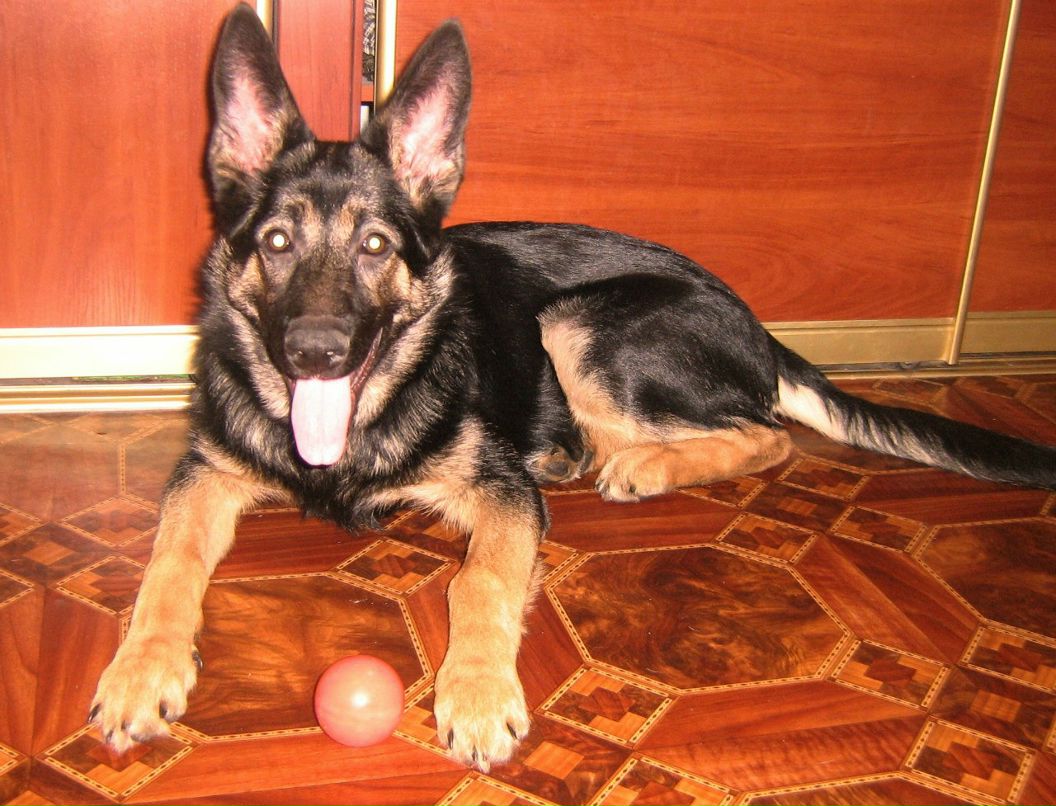 Екатерина Ищенко | Харьков