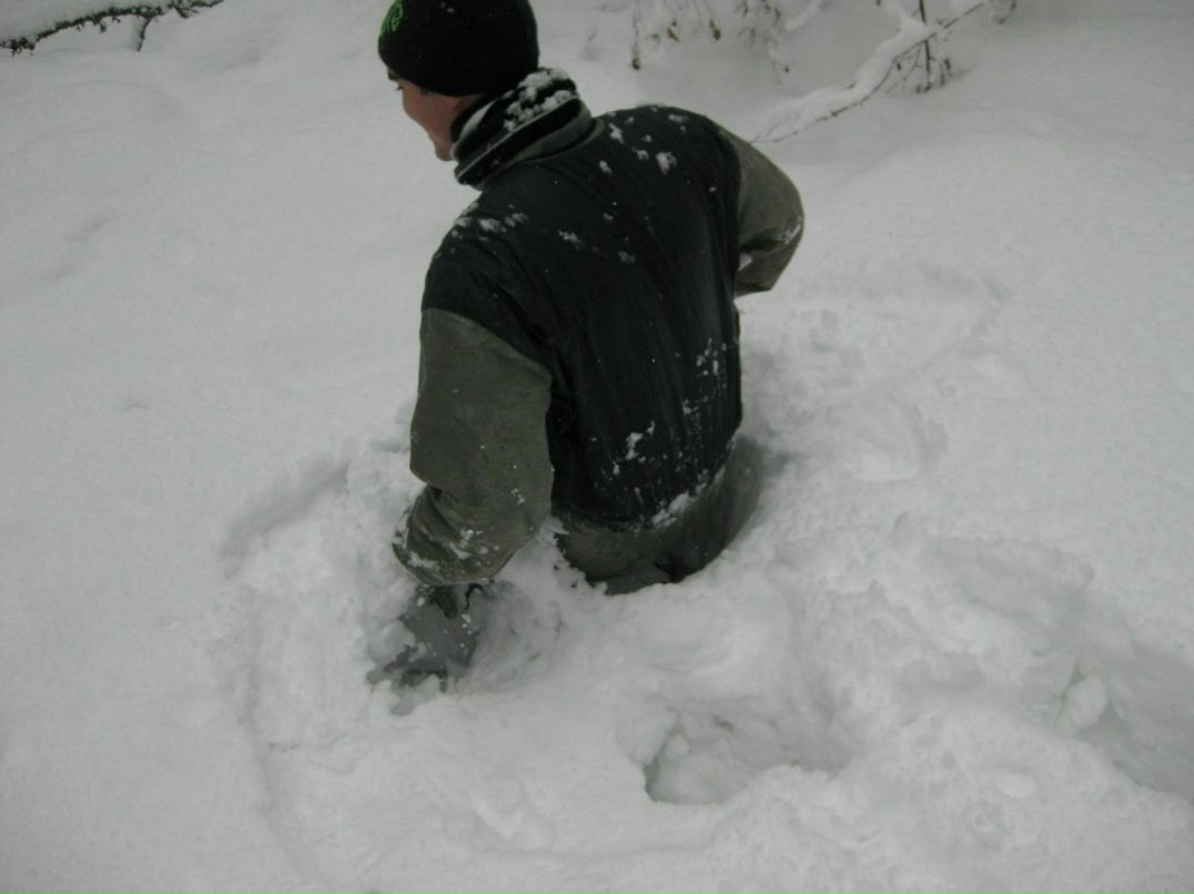 Александр Молчанов | Москва
