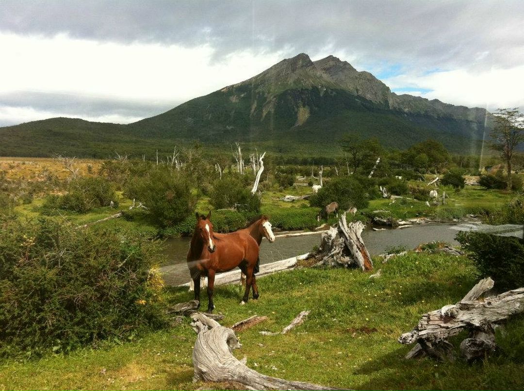 Наталья Маслова | Москва