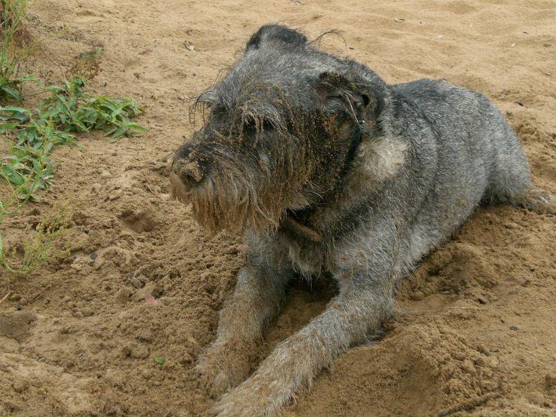 №57, Михаил Картошкин, 37 лет, Ржев №57, Михаил Картошкин, 37 лет, Ржев