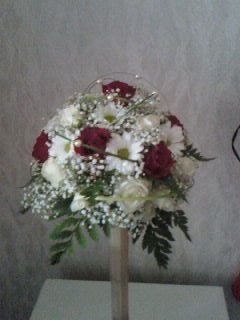 Полина Козлова | Санкт-Петербург