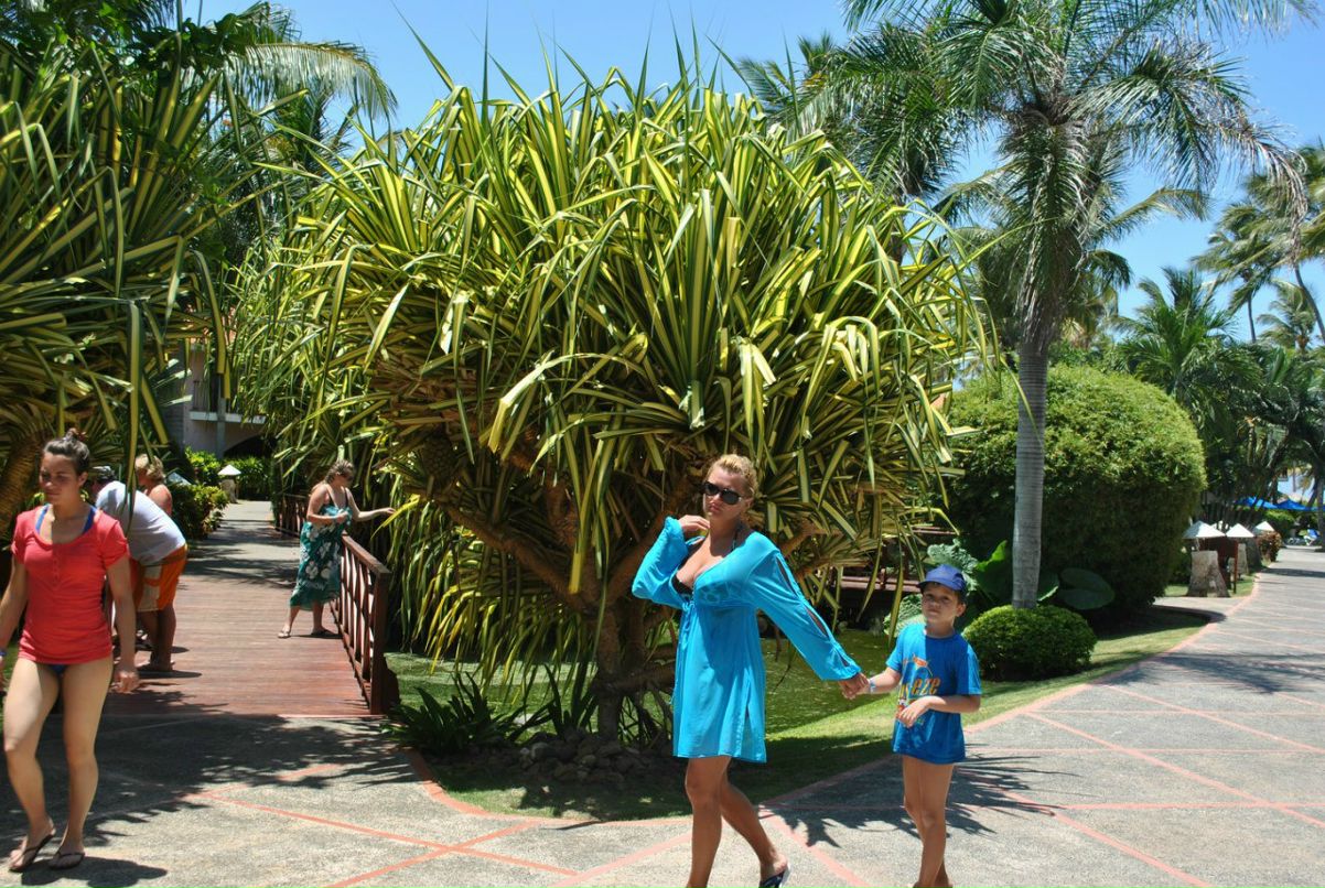 Юлия Соколова (Лыкова) | 