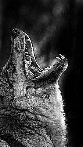 Айрат Гургенидзе | Казань