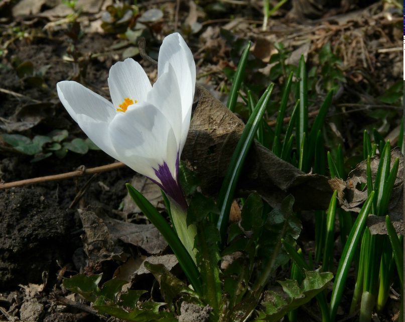 Ольга Столярова | Тула