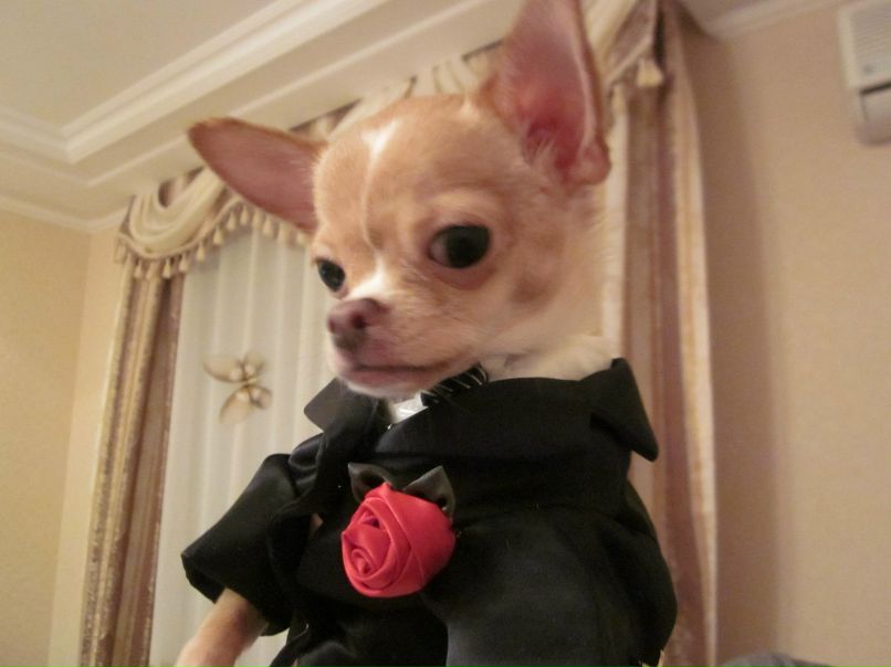 Элиза Шакирова | Казань